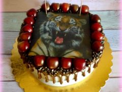 Торт "Тигр" торт Медовик Ногинск Зеленое