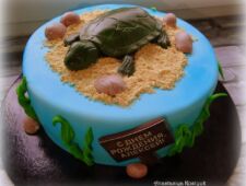 Торт "Черепашка" мастичный торт для ребенка с черепахой Ногинск Обухово